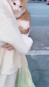 穿汉服见网友